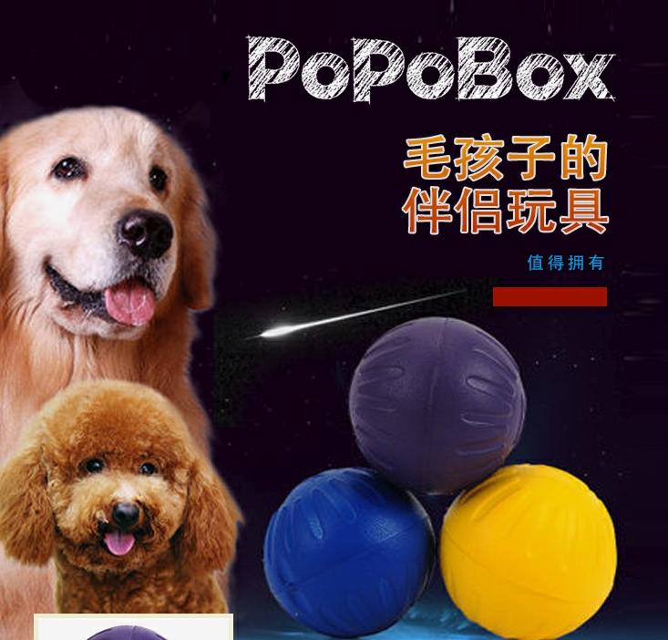 宠物玩具有必要吗,宠物电动玩具遥控逗狗