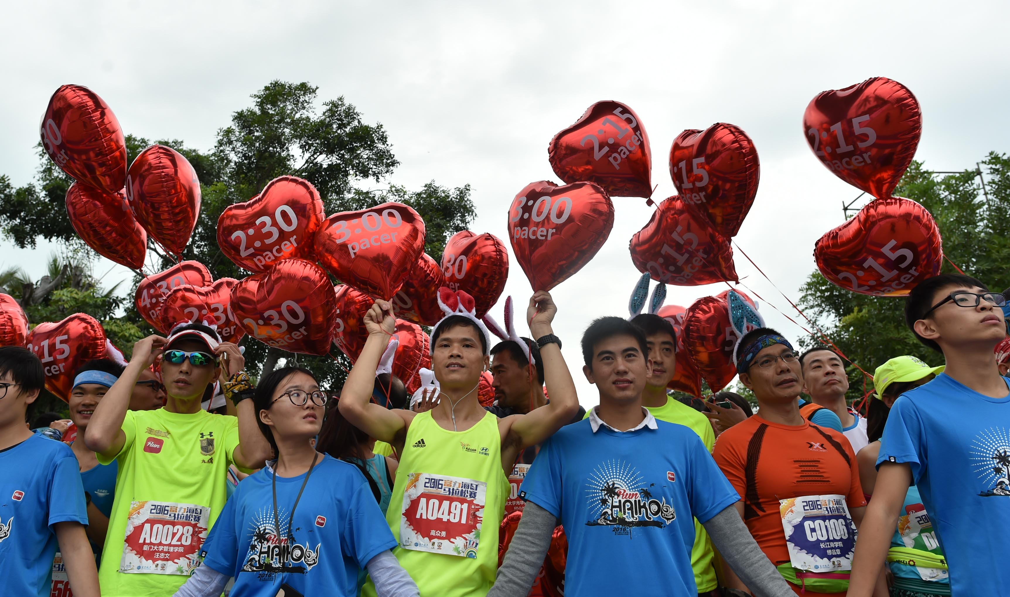 海口马拉松项目,海口马拉松官网查询相关信息