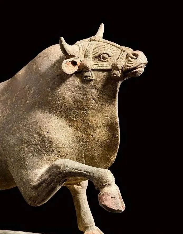 2021嘉禾送拍香港苏富比秋拍藏品 (苏富比香港秋拍各藏品价格)