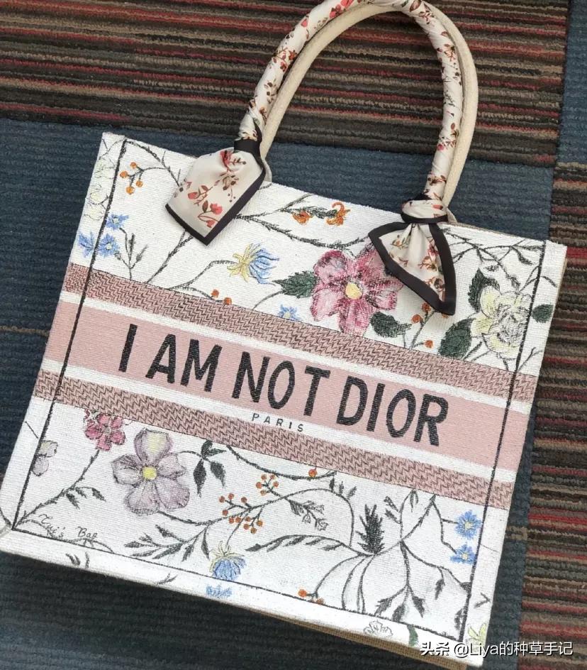 为啥有人买假的包,为什么不能拿假包