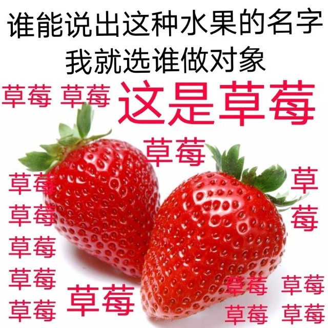 单身都是有原因的表情包,自曝单身求安排表情包