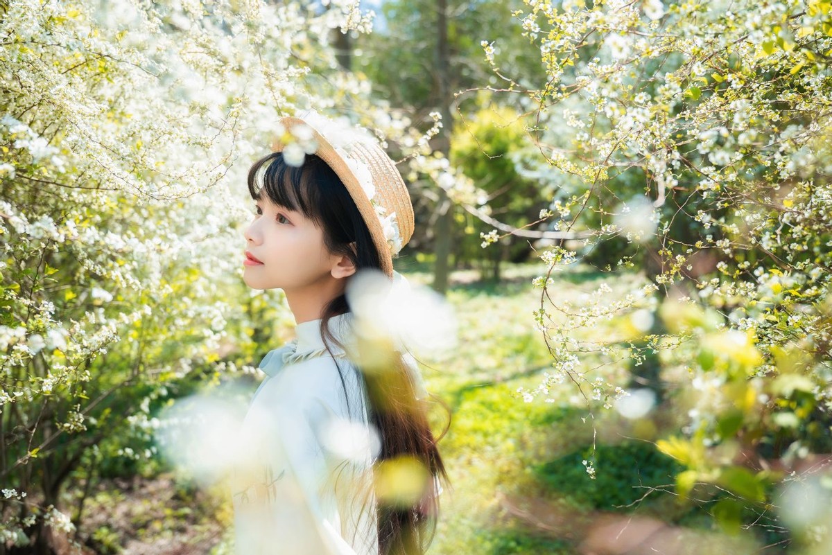 2470最便宜的镜头,24702.8镜头值得买吗