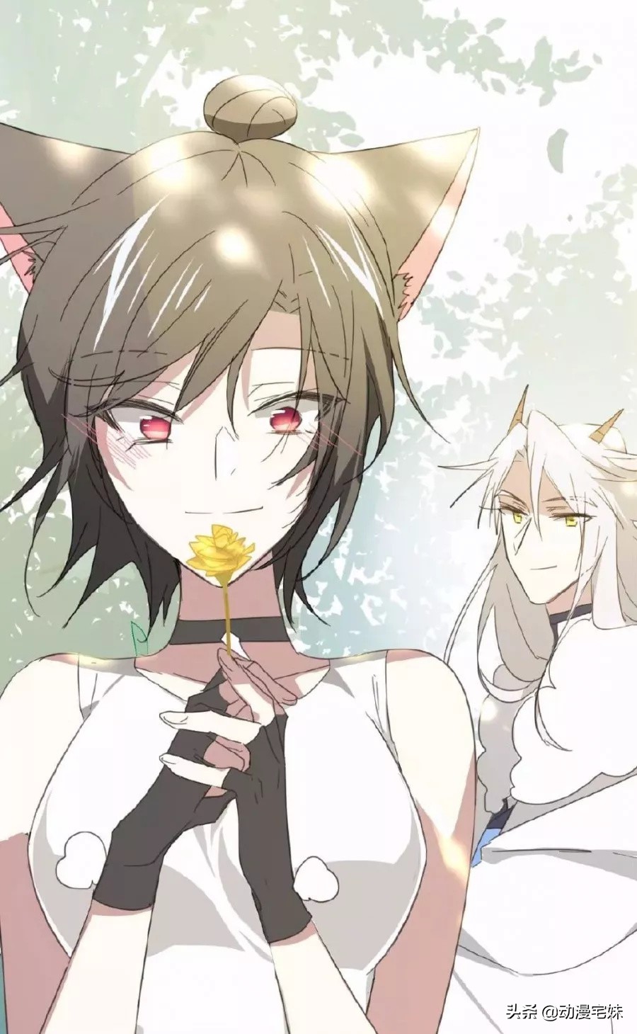 十六位女生喜欢的漫画男神,13位男神表白漫画