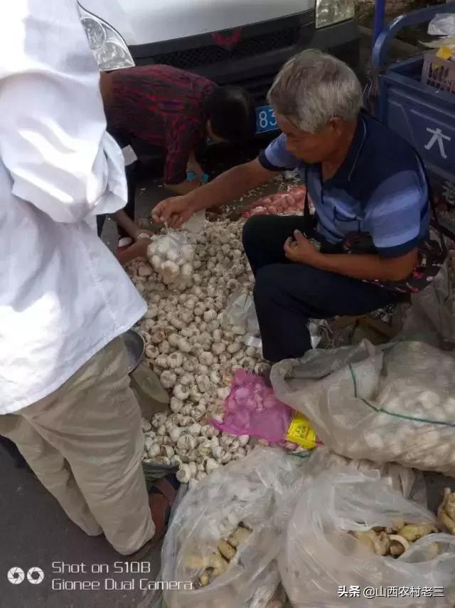 长治老顶山庙会,炎帝庙会图片大全