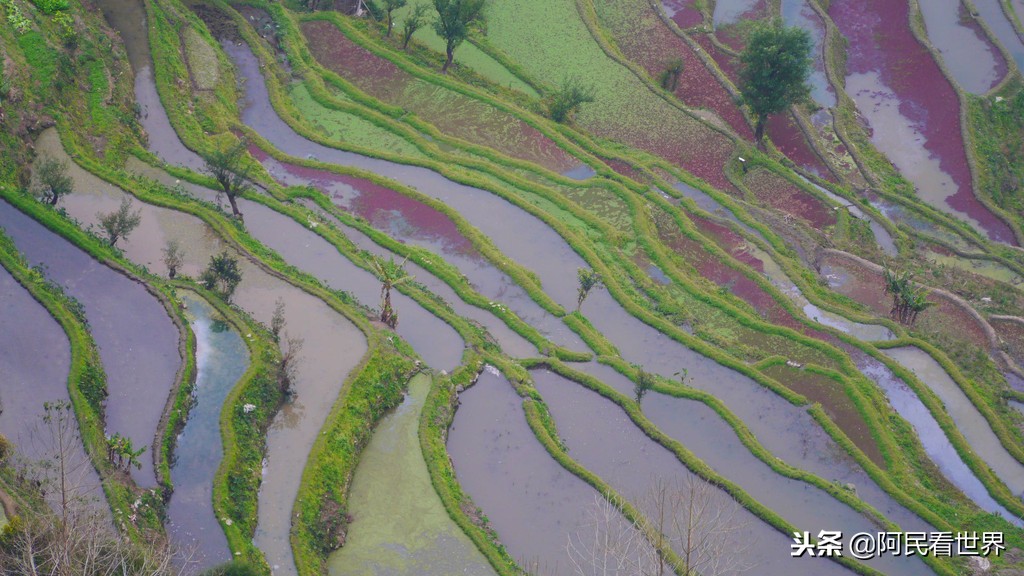 云南普者黑元阳坝美6天旅游攻略,云南建水普者黑旅游路线