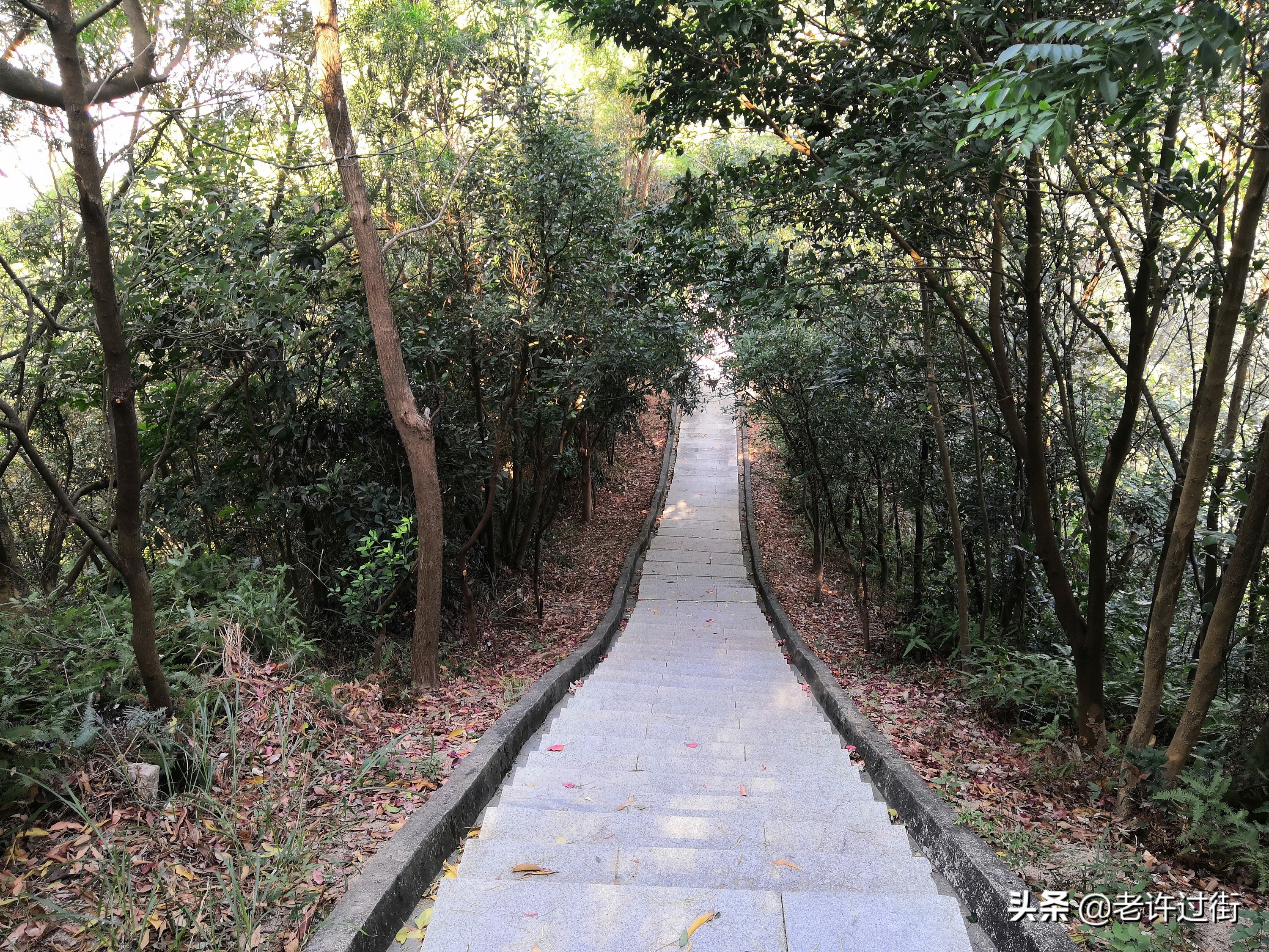 鐝犳捣姘у惂,鐝犳捣绌烘皵姘у惂