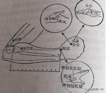 感冒的穴位图解大全,专治感冒的穴位