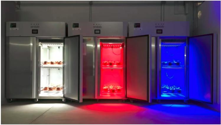 植物生长箱的应用,植物生长箱选择