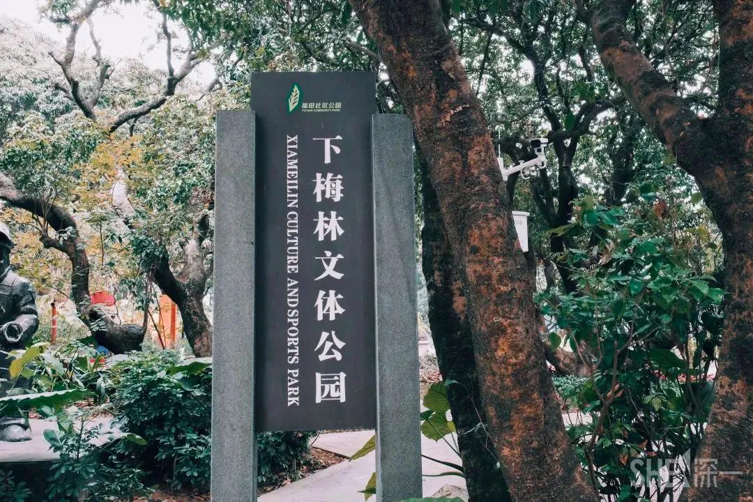 4号线值得逛的地方,9号线有什么地方可以玩