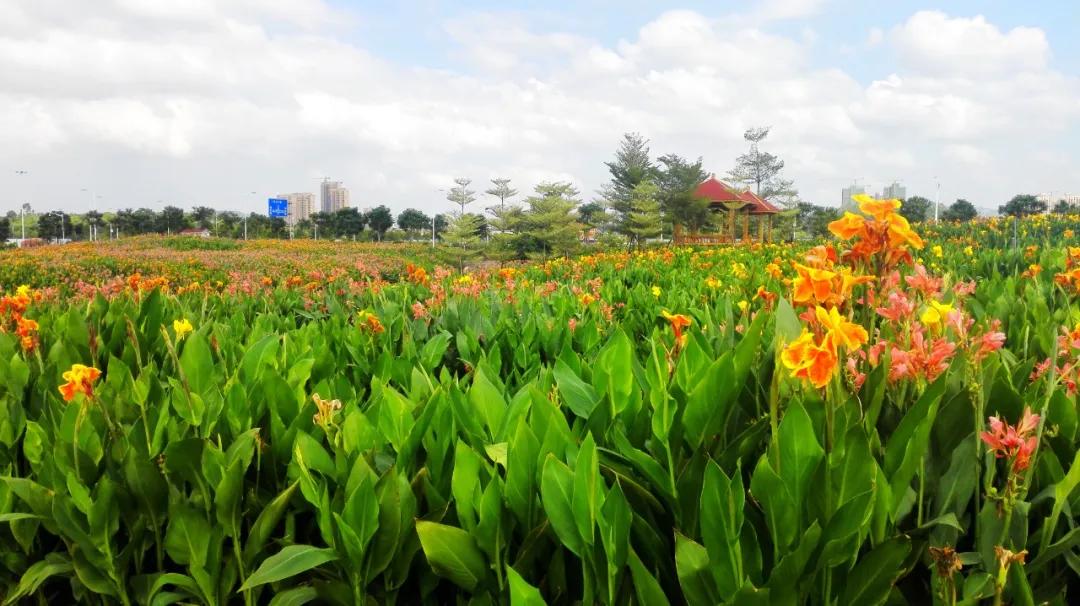 我想和你在漳州做完这一百件事情