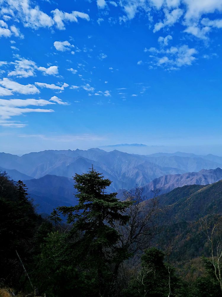 20201101惊悚之行~首阳山大坪梁单日横穿+原返