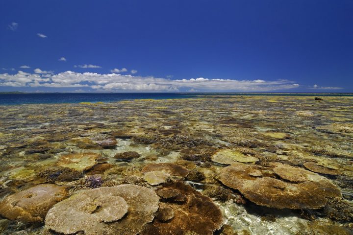冲绳离岛推荐,移居冲绳正确方法