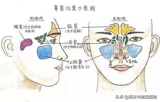 孩子流脓鼻涕是鼻窦炎吗,4岁宝宝鼻窦炎鼻塞流脓鼻涕