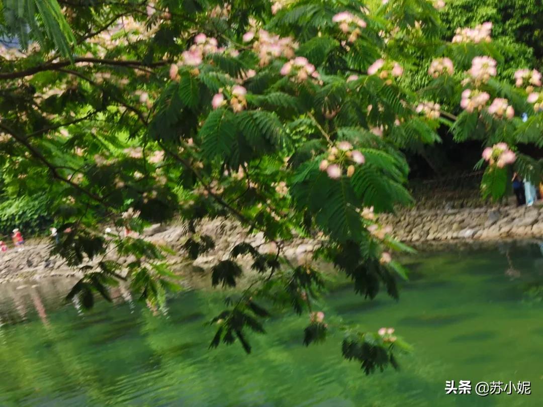 行走贵州旅行,贵州游记第五站西江千户苗寨