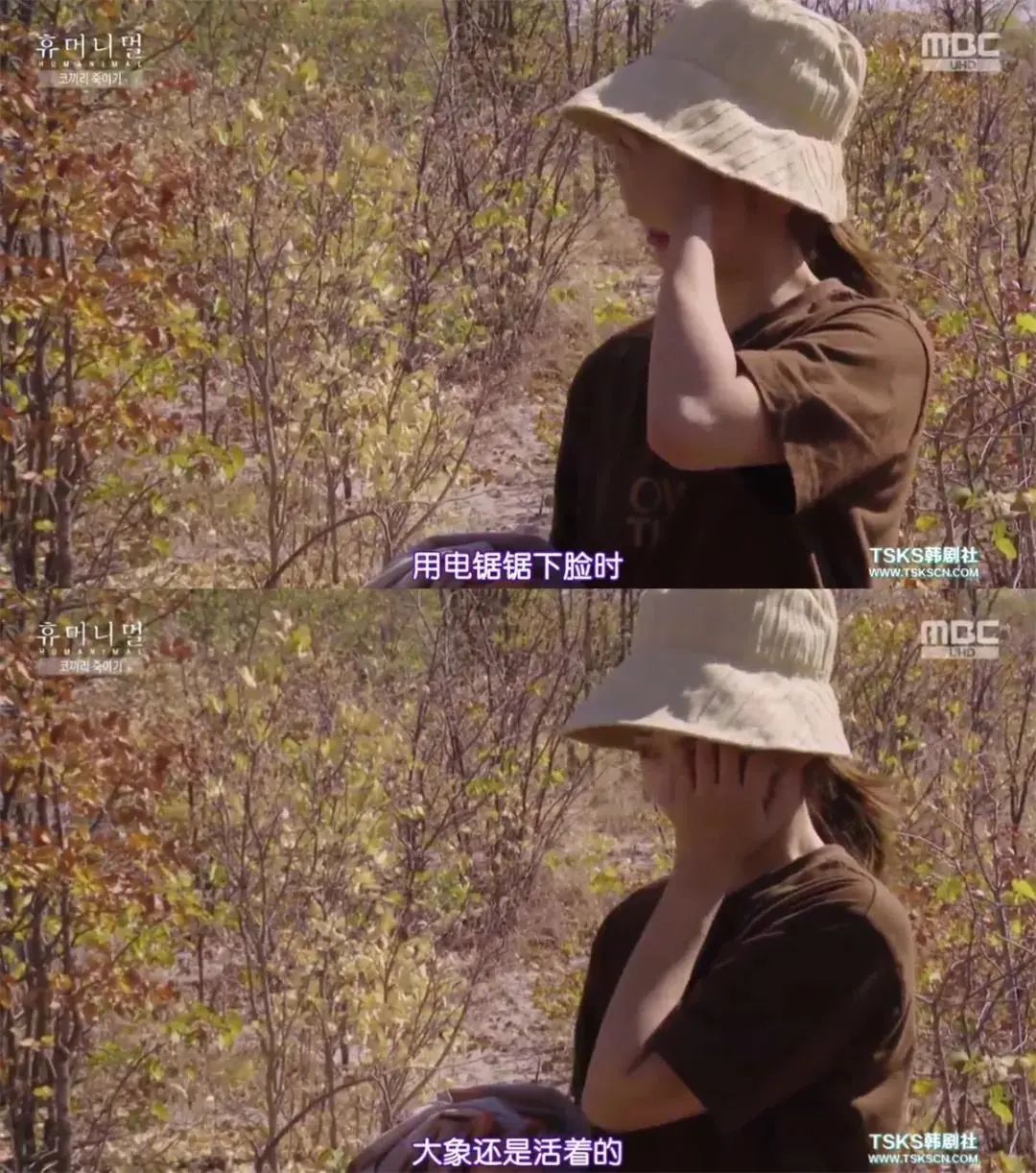 又一对官宣结婚！她完成了自己的偶像剧