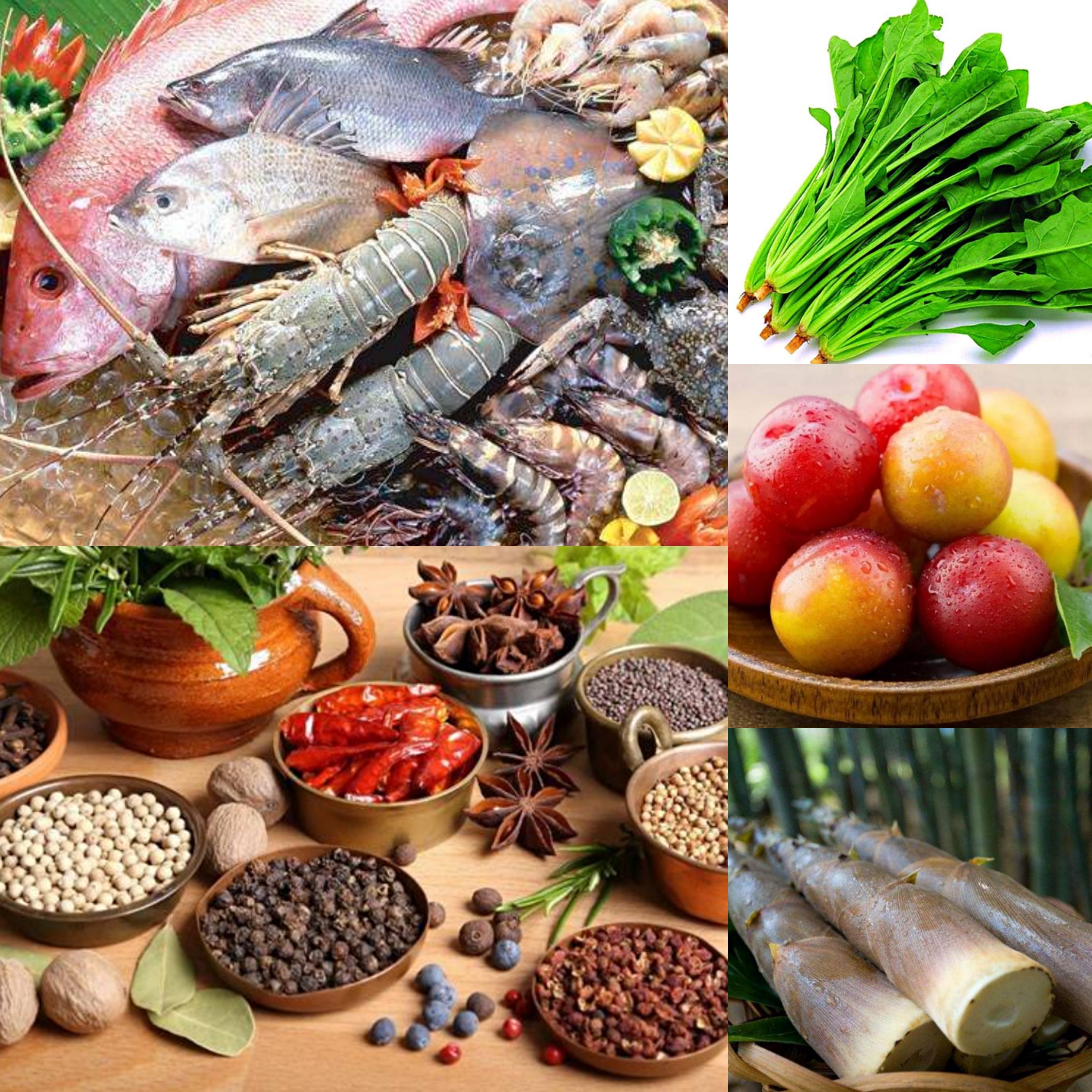 麻疹风团原因,麻疹由什么原因引起呢