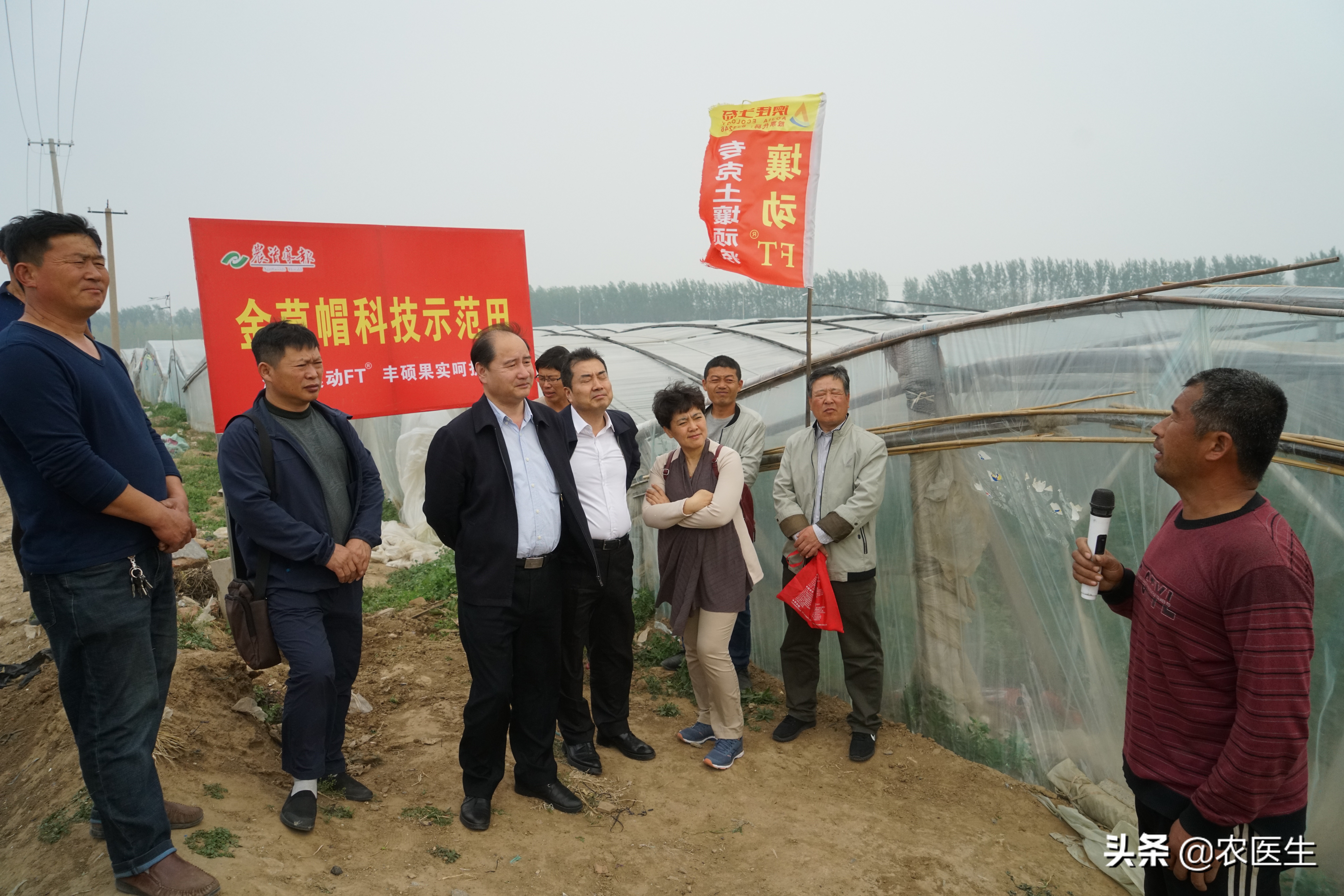 试验田作用更加凸显,试验田高产