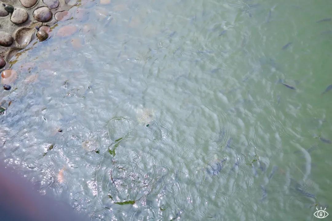 深圳宝藏公园风景图片,深圳宝藏自然游乐区