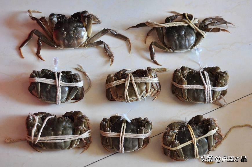 大闸蟹怎么挑肉最好吃蟹黄多,怎样的大闸蟹才是好螃蟹