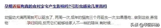 怀孕期间能够养宠物猫狗吗,怀孕养猫狗对宝宝有影响吗