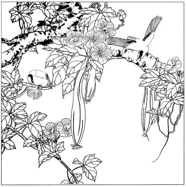 工笔花鸟白描步骤图,牡丹六尺横幅白描工笔花鸟底稿