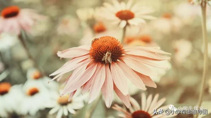 四季写景作文400字合集5篇,描写四季景的文章500字