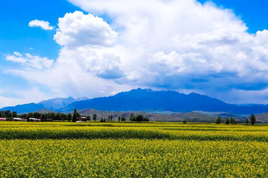适合夏天去旅游的自驾路线,适合夏季的自驾游路线推荐