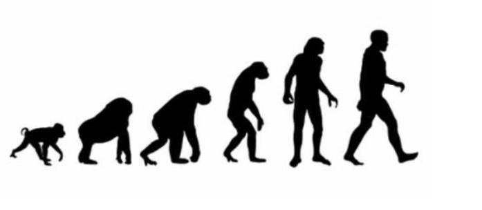 人类经过进化后,失去全身除了头发和阴部毛发,竟然是为了散热?