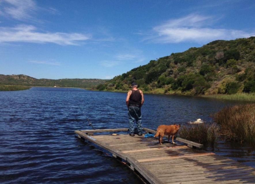 钓鱼新手先学钓什么鱼,钓好鱼要合理的选择和搭配