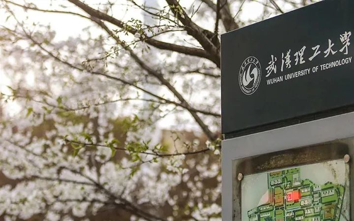 学艺术很烧钱？全国200+所高校艺术类专业学费情况汇总