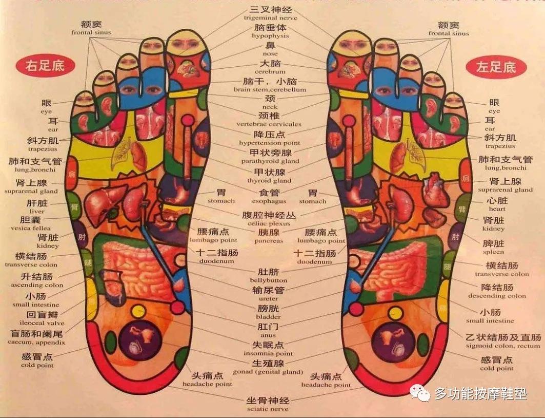带按摩功能的鞋垫,多功能足底按摩鞋垫