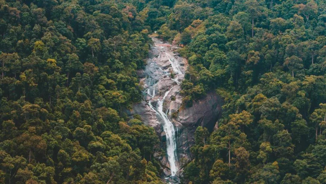 亚航大促最新优惠信息分享,亚航怎样预订特价票
