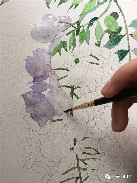 紫藤花水墨教程,紫藤花水粉画法步骤图
