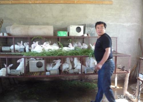 农民致富小本创业项目,适合30岁在家创业的小本生意