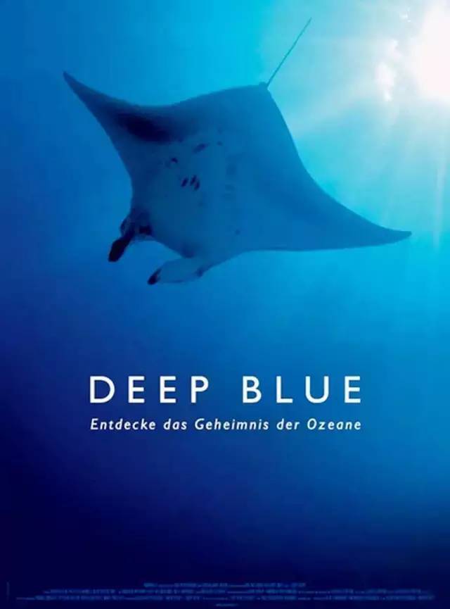 适合暑假和孩子一起看的10部电影,暑期电影