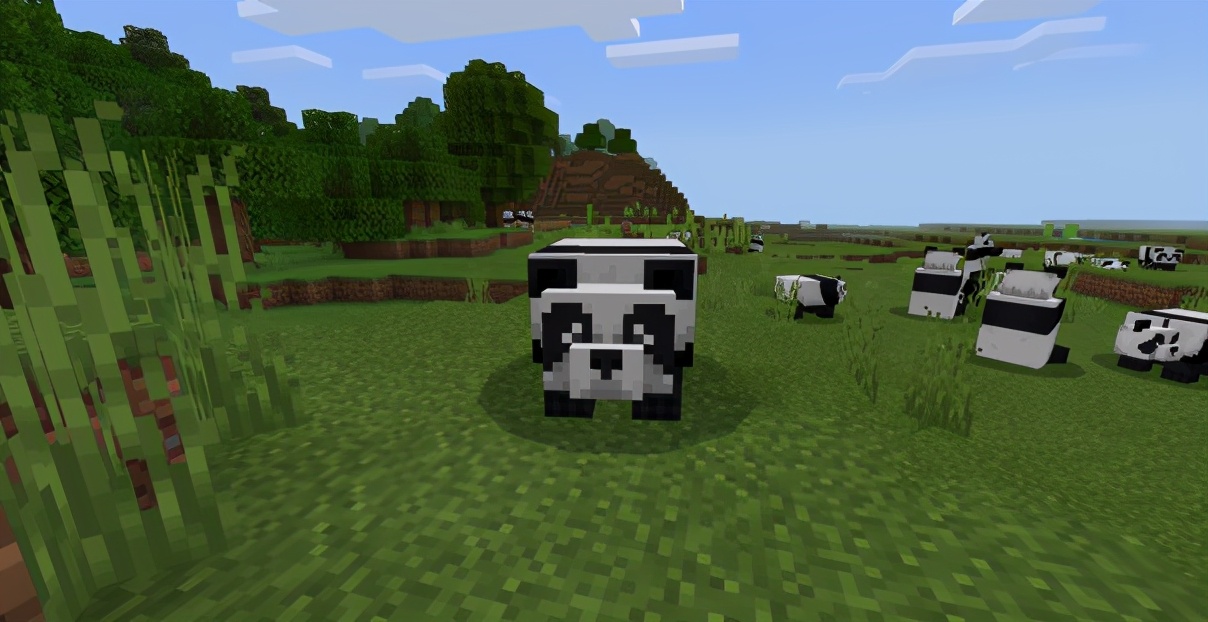 我的世界熊猫吃什么会繁殖,我的世界熊猫怎么繁育出特殊熊猫