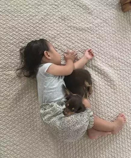 在日本生活的中国二胎夫妇,日本二胎家庭的真实感受