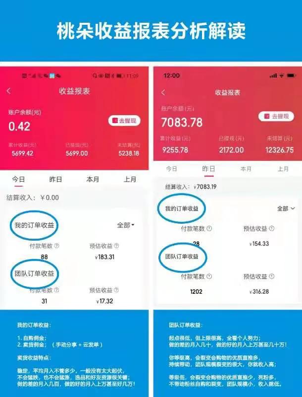桃朵佣金收益制度,桃朵为什么不能提现
