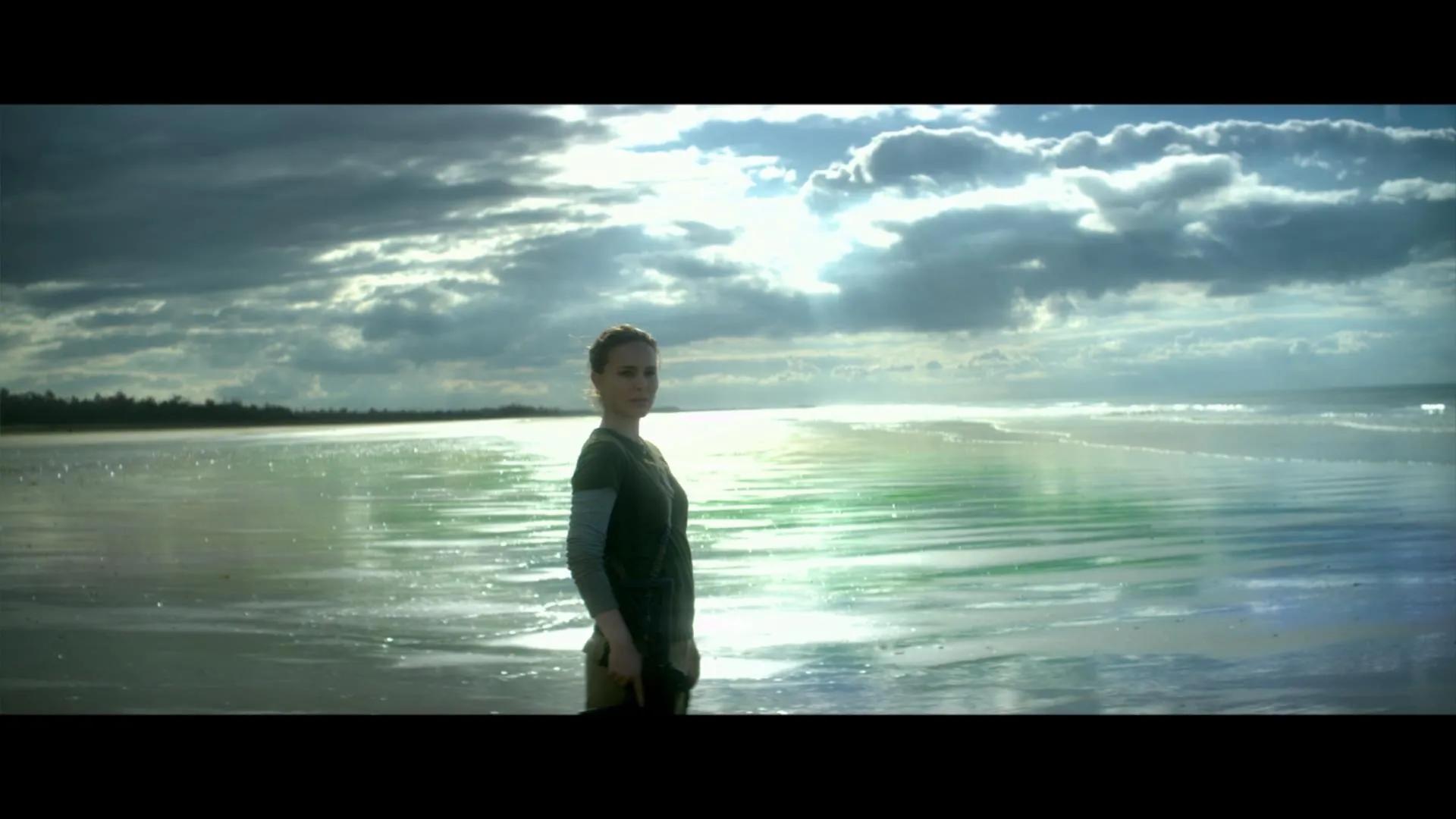 湮灭电影深度解析,湮灭电影到底湮灭了什么