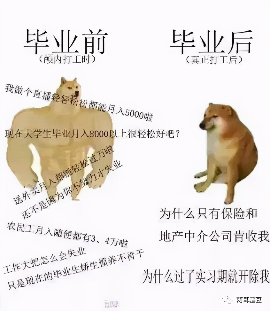 都在说“割韭菜”，可我只是“干电池”