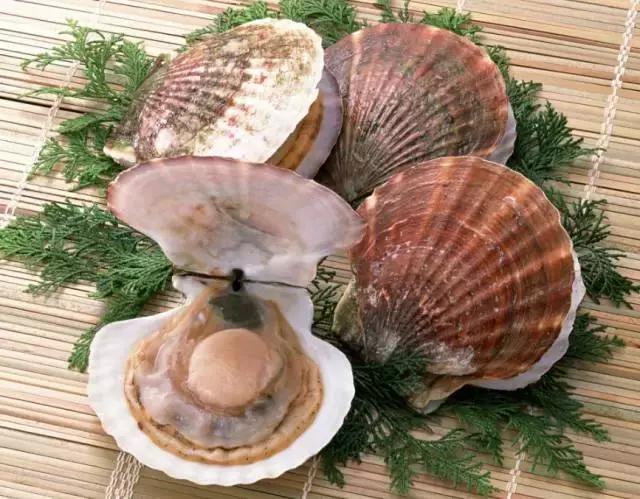 防城港怎么吃海鲜便宜不被坑,防城港干货海鲜有哪些