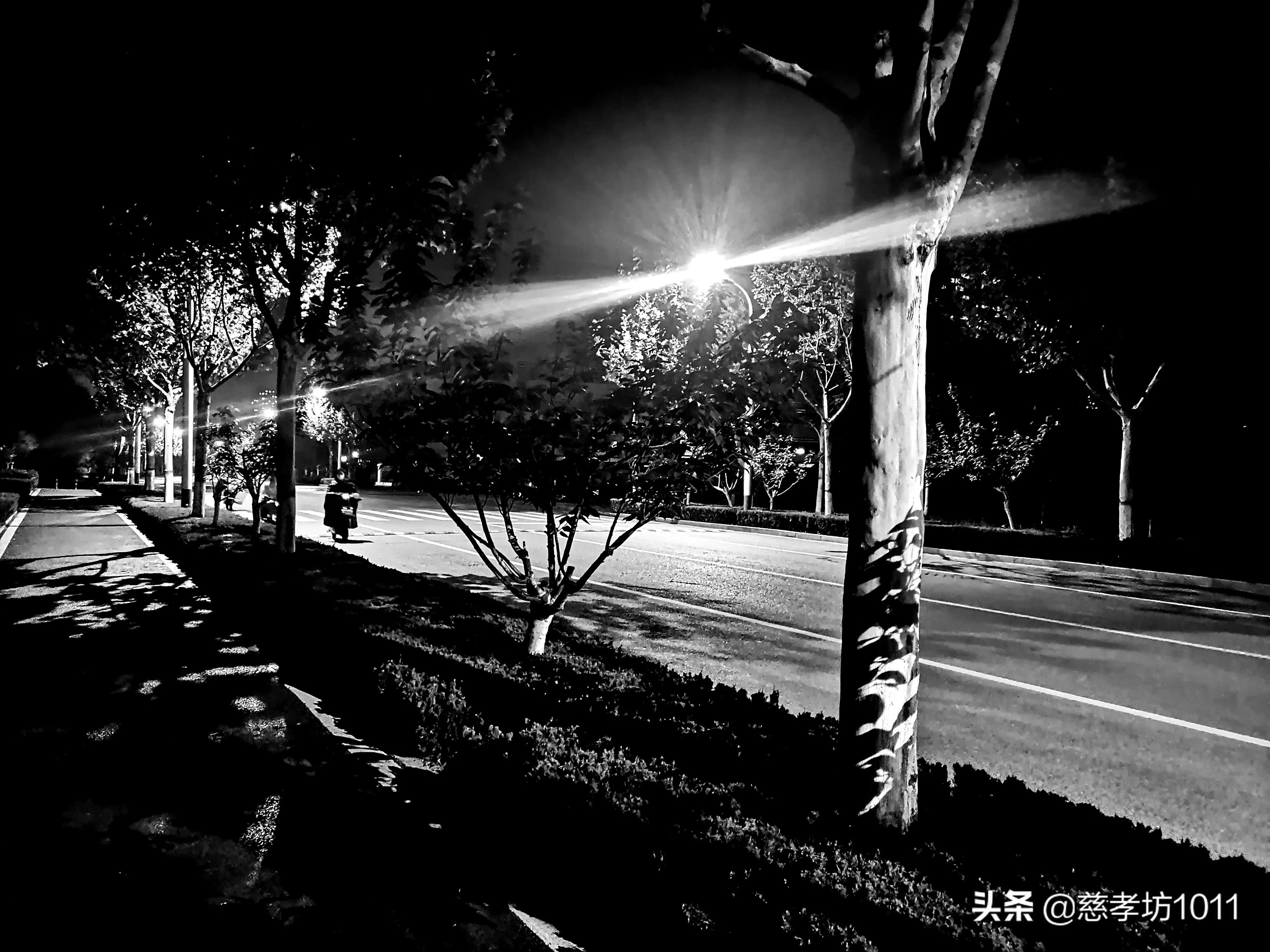 临沂大学校园游览,临沂大学参观感想