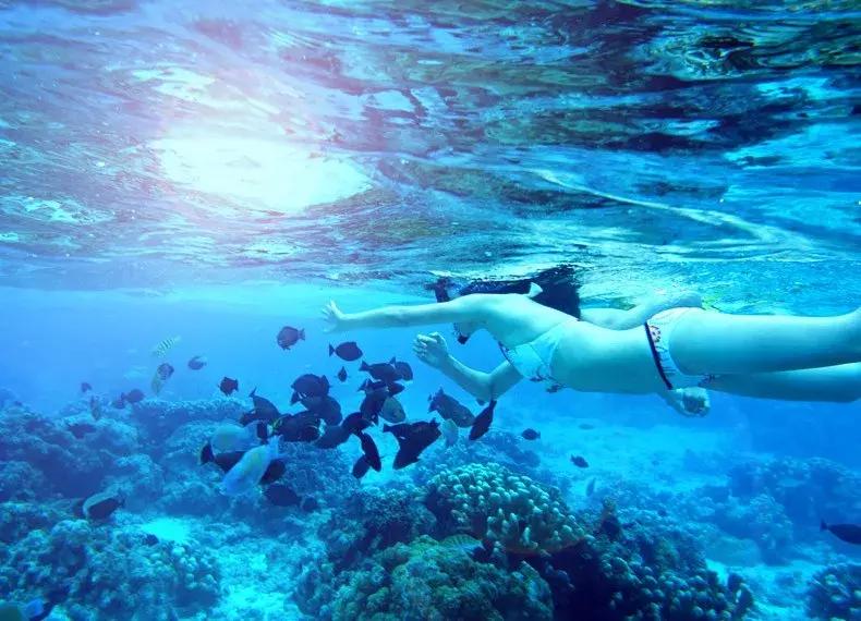 中泰高铁一期线路图,中泰高铁一期工程