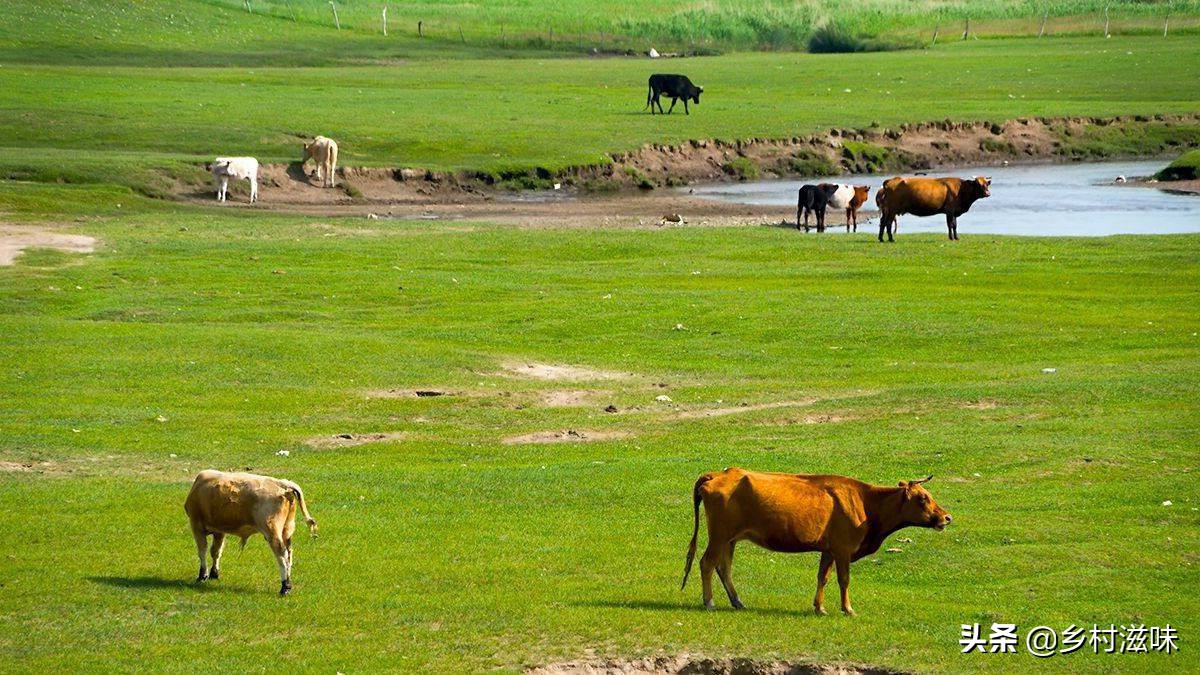 家中五喜指的是什么,五喜来家有财的俗语