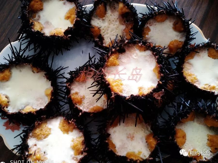 闀垮矝缃戠孩娴烽矞,闀垮矝娴烽矞澶ч鍥剧墖