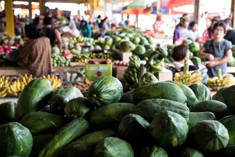 美娜多出海的图片,美娜多成为潜水天堂的原因