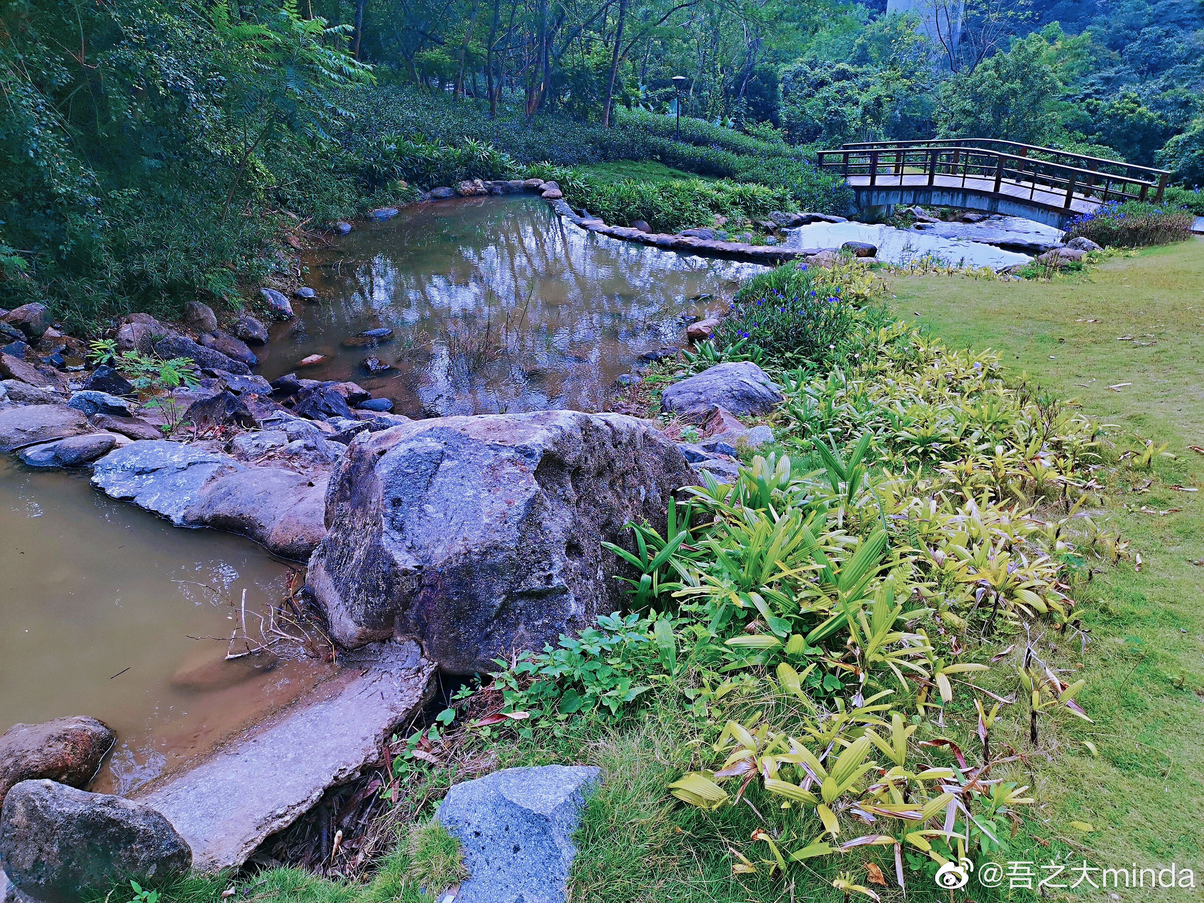 梧桐山下幽径,梧桐山下清风明月