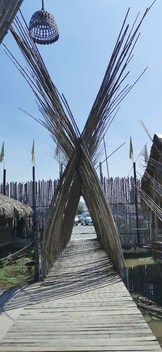 泰国北部的稻田咖啡,泰国大城府稻田咖啡厅