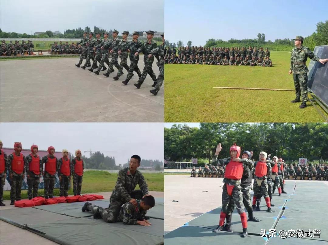 纪实视频,记实记录