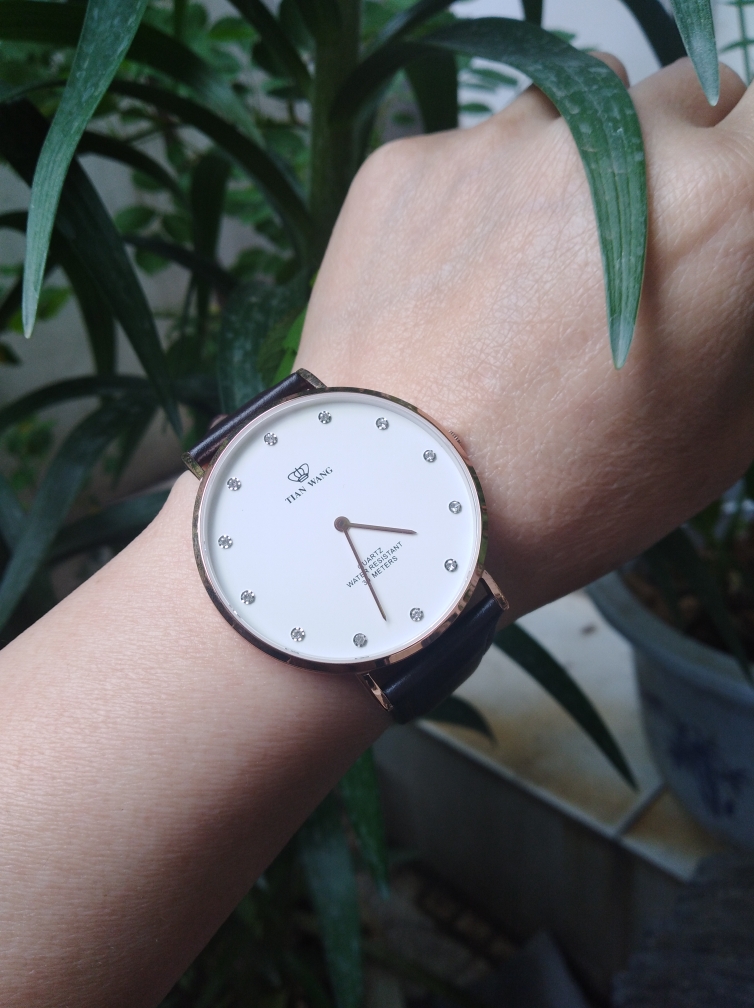 天王手表男士机械表什么样,天王手表咋样